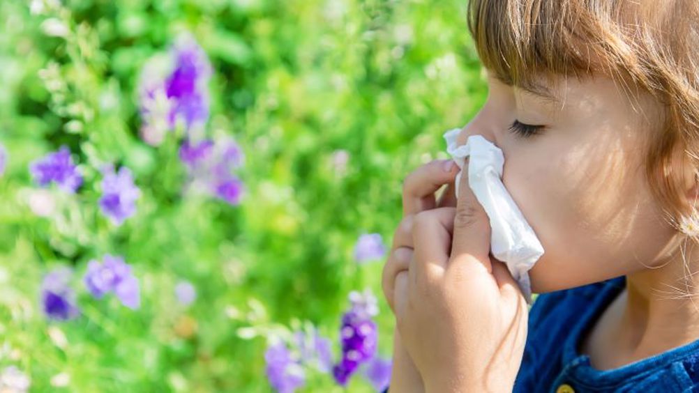 Saline irrigation for allergic rhinitis - Head, K - 2018
